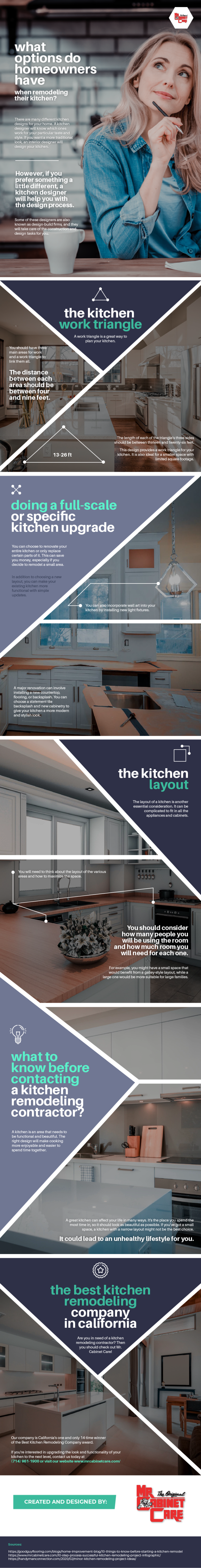 What_Options_Do_Homeowners_Have_When_Remodeling_Their_Kitchen_infographic_image_55