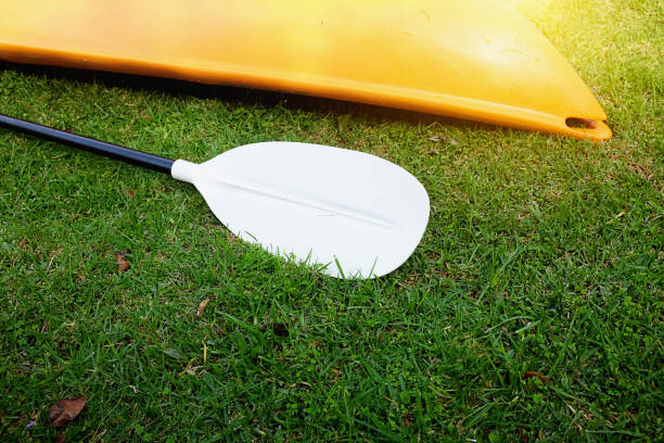 Selecting the Correct Paddle for Your Kayak: All-Inclusive Guide